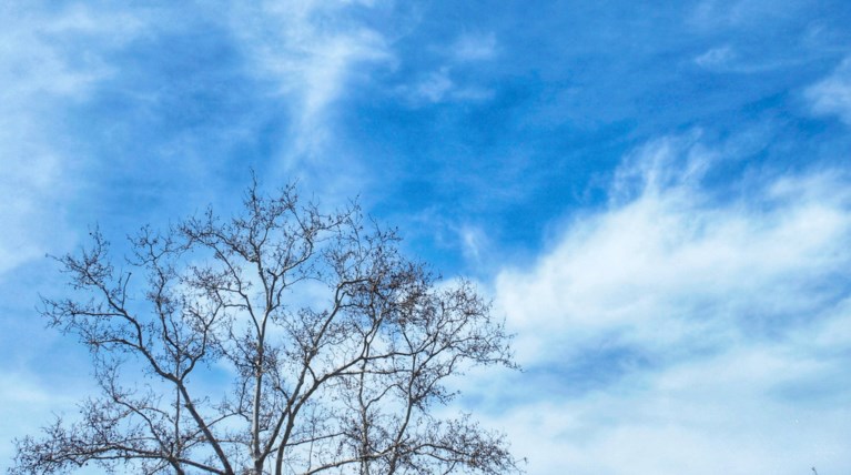 Λιακάδα την Κυριακή - H πρόβλεψη του Meteo για τον καιρό
