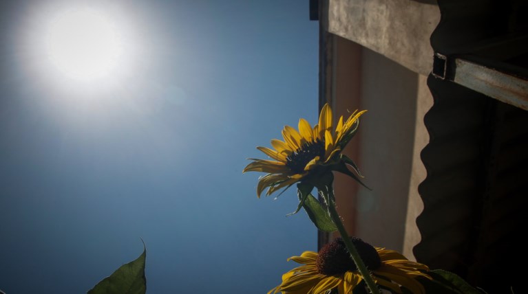 Καλός ο καιρός και την Τρίτη με θερμοκρασίες έως 26 βαθμούς