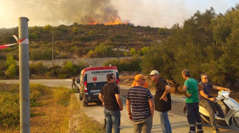 Λιγότερες το 2019 οι καμένες δασικές εκτάσεις