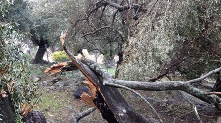 Πλημμύρες και προβλήματα από την καταιγίδα σε Κέρκυρα, Ζάκυνθο (φωτό)