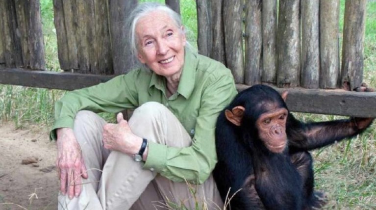 Η Τζέιν Γκούντολ και ο Μάι Τζια καλεσμένοι στο Φεστιβάλ Λογοτεχνίας