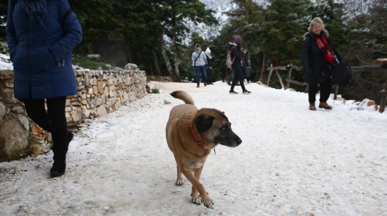 Κάτω από τους -10 βαθμούς έπεσαν οι θερμοκρασίες σε περιοχές της Β. Ελλάδας