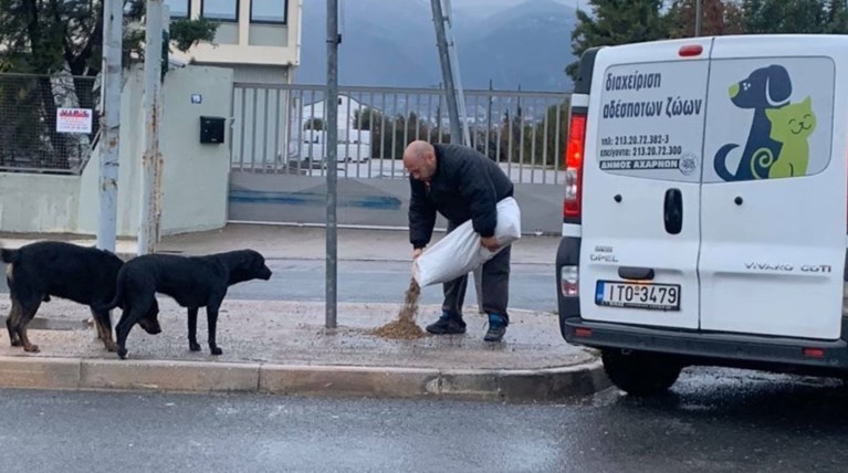 Μπράβο: Ο Δήμαρχος Αχαρνών έστειλε υπαλλήλους να ταΐσουν τα αδέσποτα