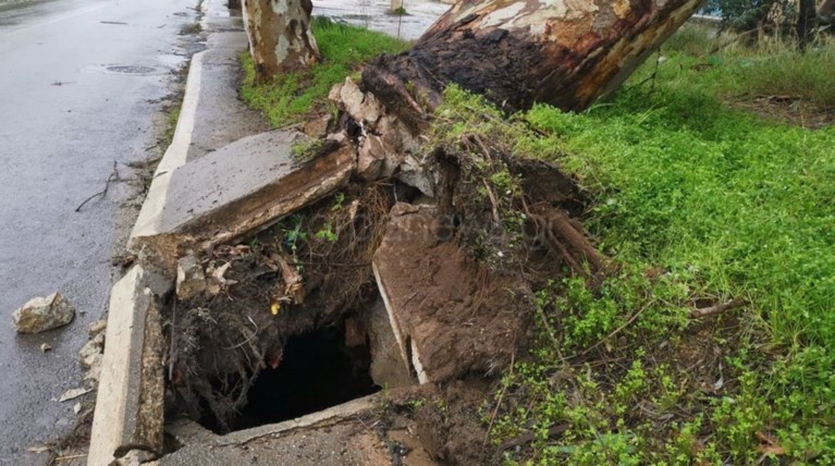 Χανιά: Κατολισθήσεις και απεγκλωβισμοί - ξεριζώθηκαν δέντρα