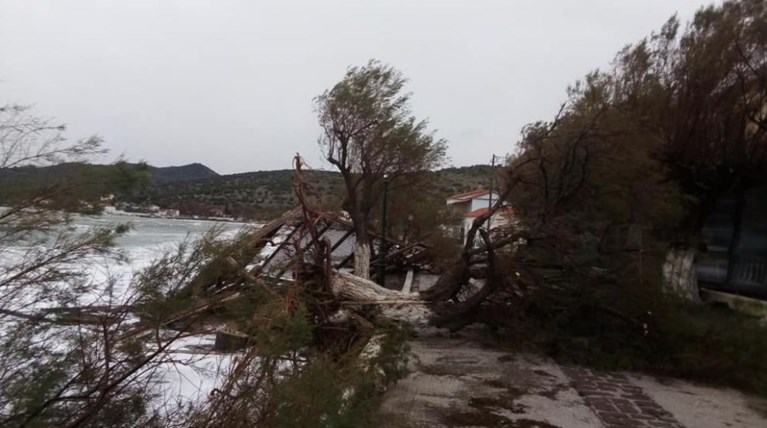 Μυτιλήνη: Τεράστιες ζημιές από την κακοκαιρία