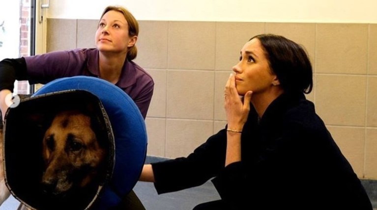 Η Μέγκαν δεν αντέχει την αφάνεια: Η κρυφή επίσκεψη σε καταφύγιο ζώων