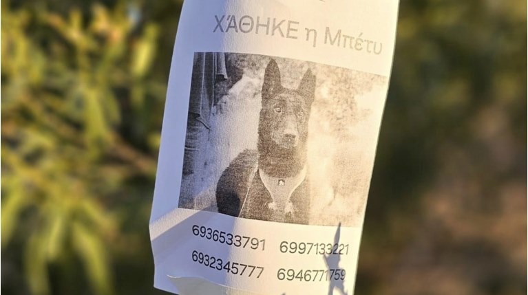 μπετυ