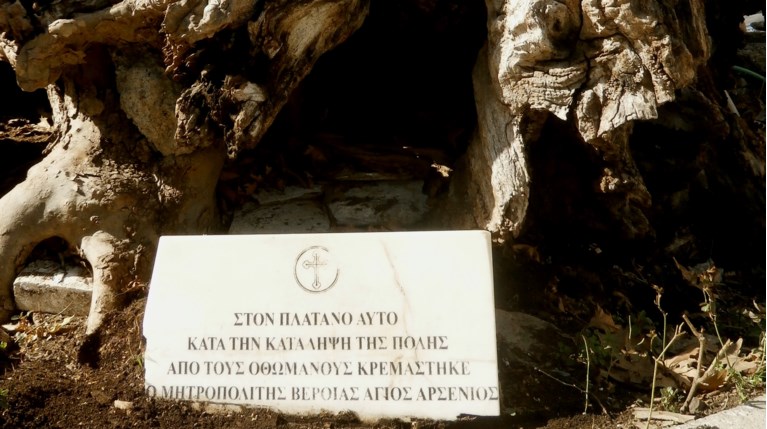 Πλάτανος