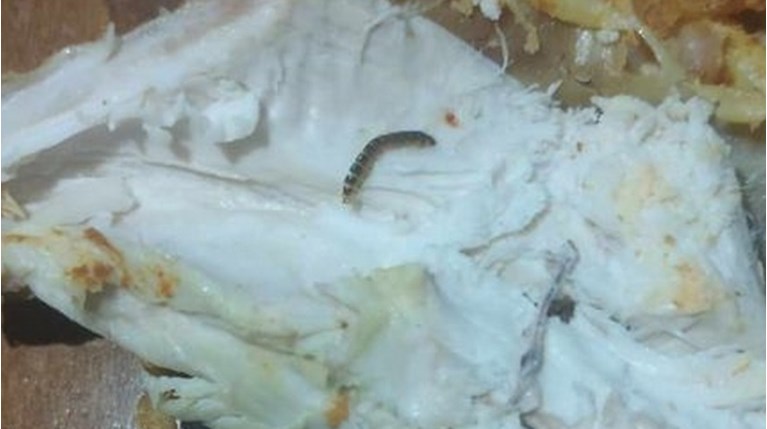 κοτο