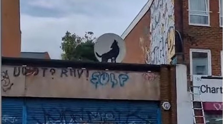 baqnsky