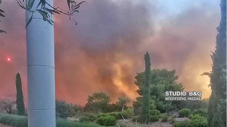 Φωτιά στο Κρανίδι