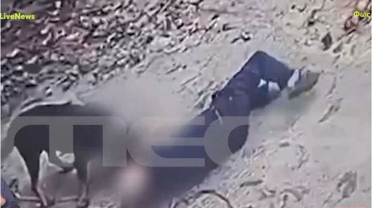 ΕΠΙΘΕΣΗ ΣΚΥΛΟΥ