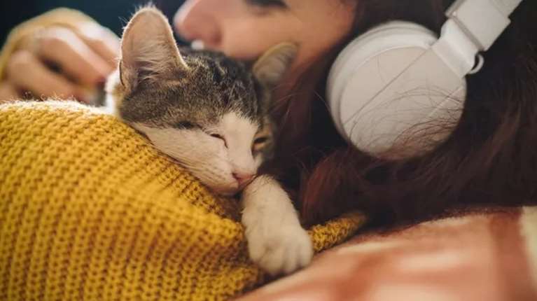 Spotify Wrapped 2024: Γιατί μας αρέσει να το μοιραζόμαστε στα social media;