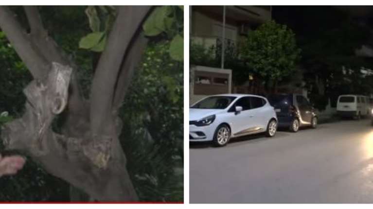 Ελευσίνα: Πάτησε κατά λάθος γκάζι και σκότωσε τη μητέρα της - "Εκλαιγαν και προσπαθούσαν να βοηθήσουν τη γιαγιά"