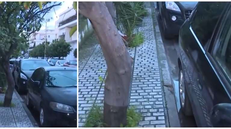 Ελευσίνα: "Πέθανε μέσα σε τρία λεπτά, τη βρήκε κλαδί στον λαιμό" - Η ανατριχιαστική περιγραφή για την 72χρονη