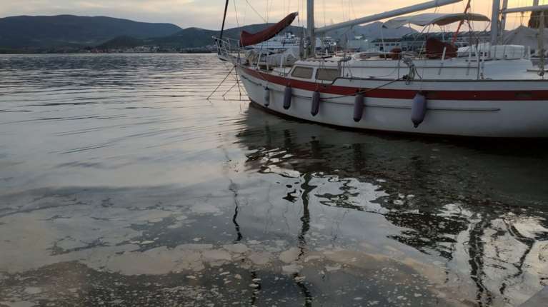 Βόλος: Νεκρός άνδρας εντοπίστηκε στο λιμάνι - Ανασύρθηκε από τη θάλασσα η σορός του