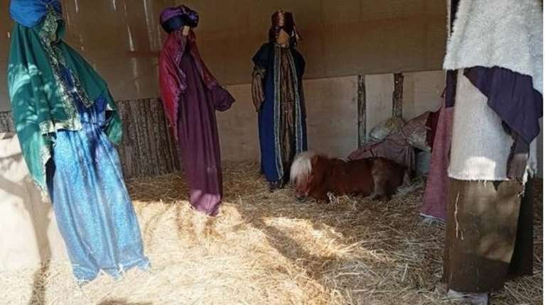 Αντιδράσεις για το ζωντανό πόνι στη φάτνη του Βόλου - &quot;Αυτοί οι τύποι ζουν στον δικό τους κόσμο&quot; απαντά ο Μπέος