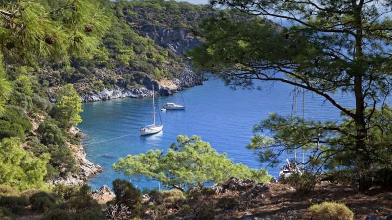 Αυτός είναι ο πιο πράσινος "μυστικός" προορισμός για το 2026 - Γραφικά χωριά, παραλίες σε πευκοδάση