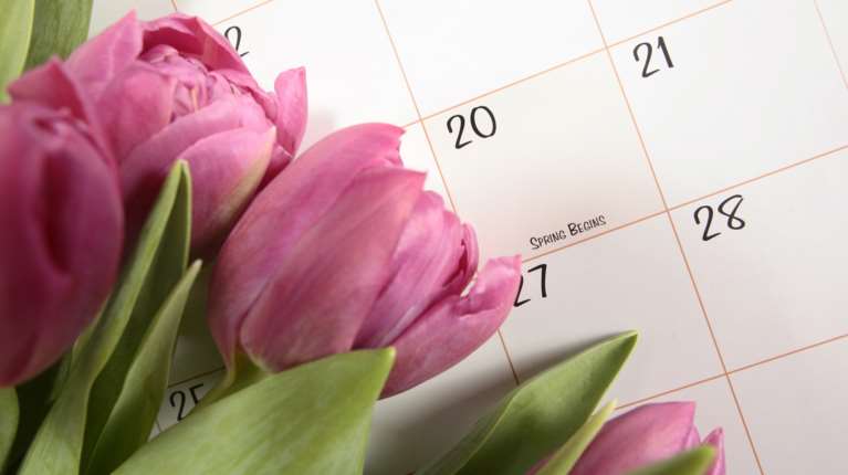 Ποιες αργίες έχουμε την άνοιξη και το καλοκαίρι του 2026 - Πότε πέφτουν