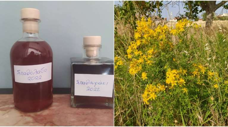 Στην UNESCO το σπαθόλαδο Δράμας - Το θαυματουργό λαδάκι για το δέρμα, παλιό γιατροσόφι