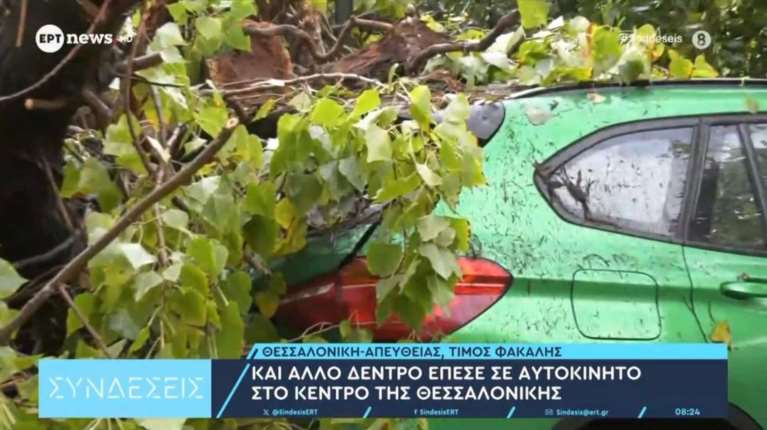 Θεσσαλονίκη: Πτώσεις δέντρων λόγω της κακοκαιρίας – Ζημιές σε σταθμευμένα οχήματα [βίντεο]