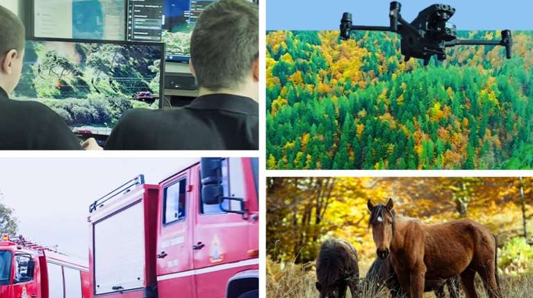 Η Rolex συνεισφέρει στην προστασία της Βάλια Κάλντα και ενισχύει τη Δασοπροστασία στην Ελλάδα