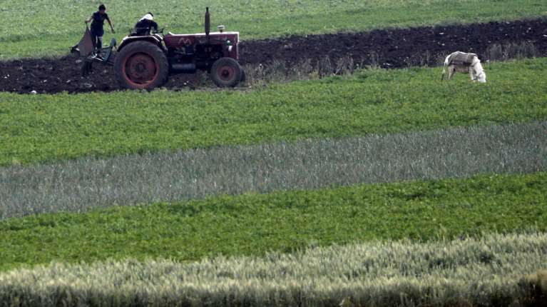 Σκάνδαλο ΟΠΕΚΕΠΕ: Ζευγάρι από την Κρήτη κατηγορείται για απάτη ύψους... 24,33 ευρώ