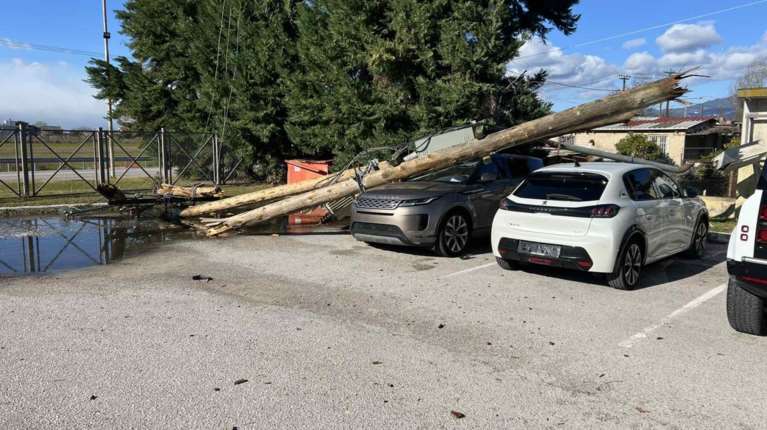Φθιώτιδα: Πτώσεις δέντρων και ζημιές από τους θυελλώδεις ανέμους - Πού χρειάζονται αλυσίδες στην Ευρυτανία λόγω χιονιού