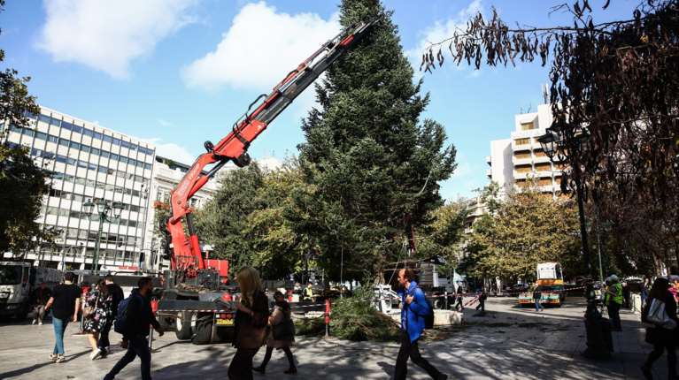 Σε χριστουγεννιάτικο ρυθμό η Αθήνα: Τοποθετήθηκε το τεράστιο δέντρο από τη Βυτίνα στην πλατεία Συντάγματος