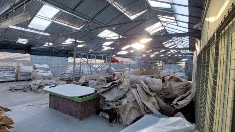 Μεγάλο κύκλωμα κοκαΐνης, εμποτισμένης σε... δέρματα βοοειδών -  Ερευνα σε αποθήκη στα Σπάτα [εικόνες]