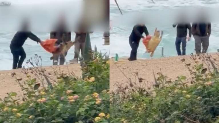 Κύπρος: Χειροπέδες στους 4 υπαλλήλους που κλωτσούσαν και πετούσαν το κουφάρι θαλάσσιας χελώνας [βίντεο]