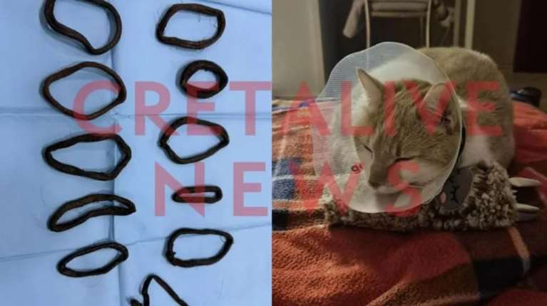 Η... "τρελοκοτσιδού" Μιέλ κατάπιε  ούτε ένα, ούτε δύο, ούτε τρία αλλά 11 λαστιχάκια για τα μαλλιά