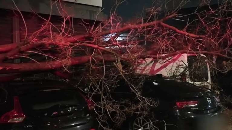 Ζημιές σε Πειραιά, Κηφισιά, Χαλάνδρι από την βραδινή κακοκαιρία: Μεγάλο δέντρο έπεσε σε 4 ΙΧ στην Πειραιώς [βίντεο]