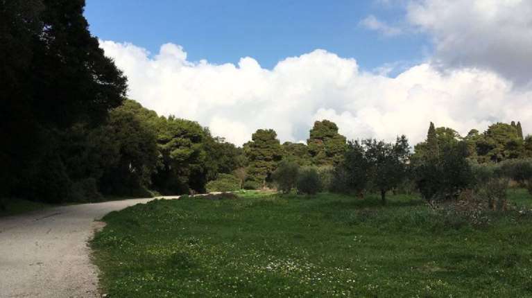 Μαχαίρωσαν 16χρονο στο Άλσος Συγγρού για να τον ληστέψουν