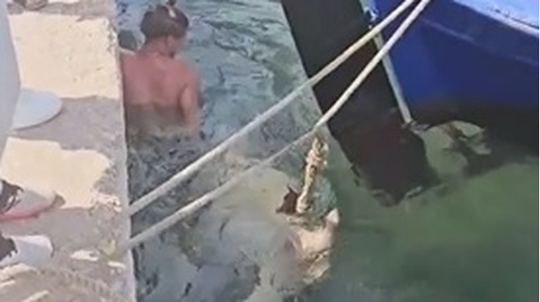 καρετα