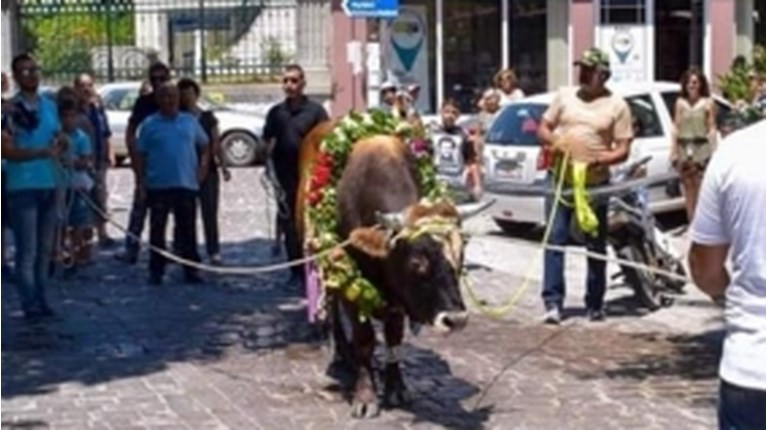 Ταύρος Λέσβος