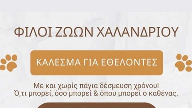 Κάλεσμα για εθελοντές από τους Φίλους Ζώων Χαλανδρίου: Ο,τι μπορεί, όσο και όπου μπορεί ο καθένας
