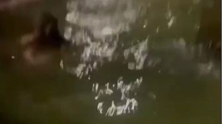 φλωρεντια