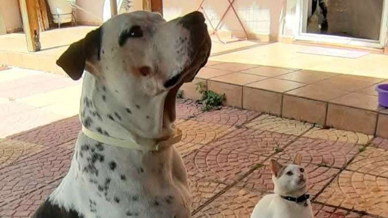 Πόσα "γιατί" κρύβονται πίσω από ένα αντίο... Πόσα "...μα σ'αγαπώ..." φωνάζουν πίσω από ένα "εσύ θα μείνεις πίσω "…