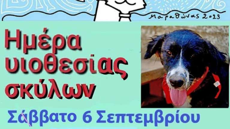 Ημέρα υιοθεσίας σκύλων στις 6 Σεπτεμβρίου από τον Σύλλογο Ζωόφιλων Μαραθώνα &quot;Ελπίδα&quot;