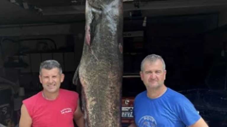 Εντυπωσιακό: Ψαράδες έπιασαν γουλιανό 100 κιλών στη λίμνη Πολυφύτου στην Κοζάνη [εικόνες]