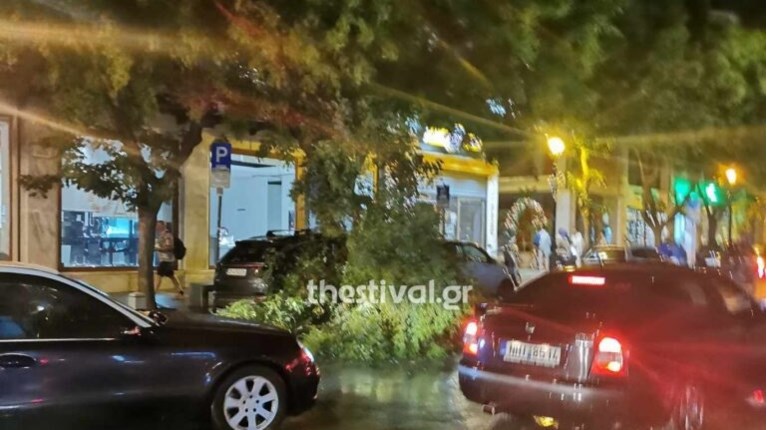 πτώση δέντρου Θεσσαλονίκη