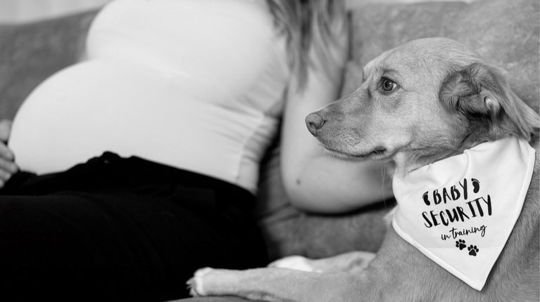 αννα κορακακη