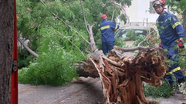 Θυελλώδεις άνεμοι σαρώνουν Χανιά και Ρέθυμνο με πτώσεις δέντρων [εικόνες - βίντεο]