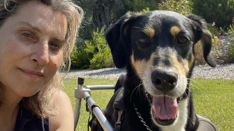 Η συγκινητική ανάρτηση της Μαριάννας Πυργιώτη: &quot;Καλό ταξίδι αστέρι μου, ήρωα μου, σπουδαίο μου σκυλί… &quot;