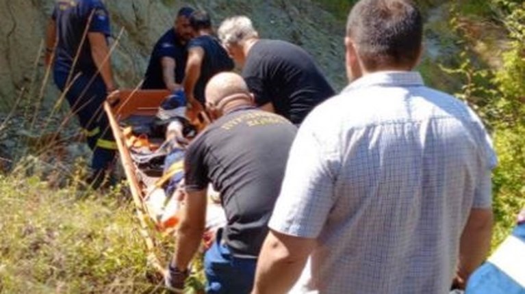 επιθεση αρκουδα