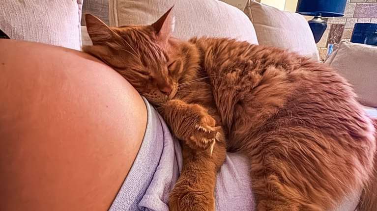 Ευριδίκη Βαλαβάνη: Αποθεώνει τις γάτες της στον έκτο μήνα της εγκυμοσύνης της - &quot;Οι μικροί μου φύλακες&quot;