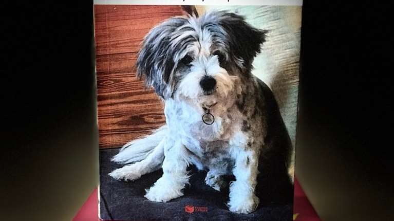 &quot;Λουλού. Μια αληθινή ιστορία&quot; από την Αννα Βαγενά