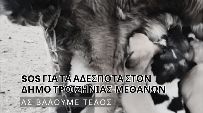 δ