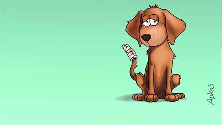 ΚΑΛΗΜΕΡΑ ΑΡΚΑ